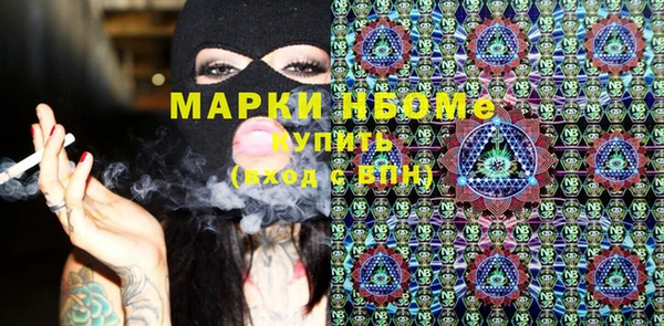 гашик Зеленокумск