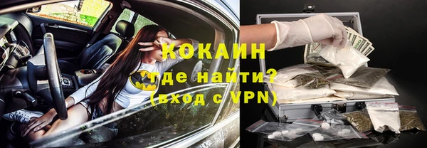 ГАЛЛЮЦИНОГЕННЫЕ ГРИБЫ Заволжье