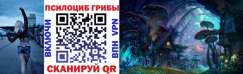 Купить закладки  Невель  Псилоцибиновые грибы мицелий 